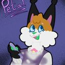 kandycats's profile picture