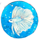 profile-1