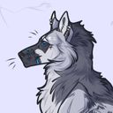 starcanid's profile picture