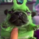 wubsy_bubz's profile picture