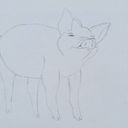 acornartist's profile picture