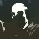 korridorstudio's profile picture