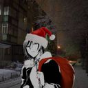ha_ha's profile picture