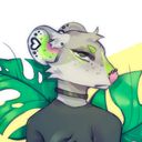 pragmatic_possum's profile picture