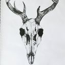 mormuria's profile picture