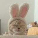 petrenko's profile picture