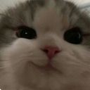 cat_soups's profile picture