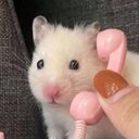 ketris's profile picture