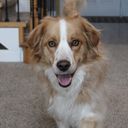 raspberribunni's profile picture