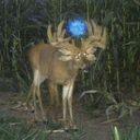 archerwayzzz's profile picture