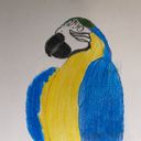lil_attempts_art's profile picture