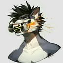 officially_karma's profile picture