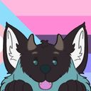 kaihunter's profile picture