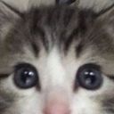 sonya_bebrik's profile picture
