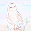 meisann's profile picture