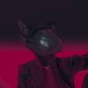 arkio's profile picture