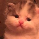 twelvegraves's profile picture