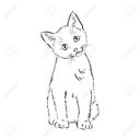 turnips1's profile picture