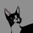qqishere_14's profile picture