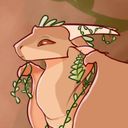 floofers's profile picture