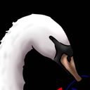 little_swan's profile picture