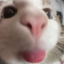 stinky_sewer_boy's profile picture