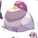 pommesvogel's profile picture