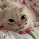 kellu617's profile picture