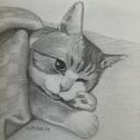 digitalartmp's profile picture