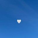 domenica1's profile picture