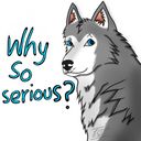 enzo_da_wolf's profile picture