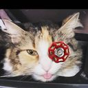 420suzyxlizzy420's profile picture
