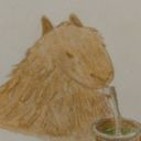 profile-1