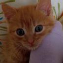 solaris_sunny's profile picture