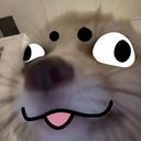 blitz's profile picture
