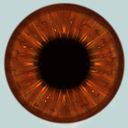 comicofonix's profile picture
