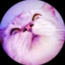 oleanna_the_fox's profile picture