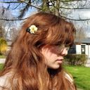 faasseni's profile picture