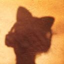 kittykat_dreamer23's profile picture