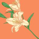 nonakomari's profile picture