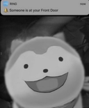 bandbullets's profile picture