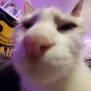 ghostyghost's profile picture