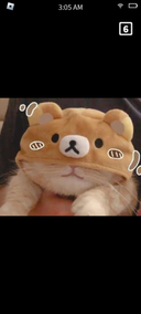Anq3lic_Sunny's profile picture