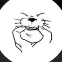 knouille's profile picture