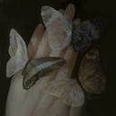 _rainydays's profile picture