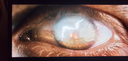 likarock's profile picture