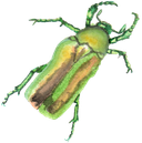 aguatemala's profile picture