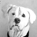 rosedoesart's profile picture