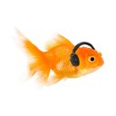 Lewseal's profile picture