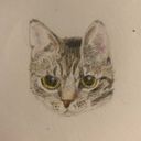 max_draws_sometimes's profile picture